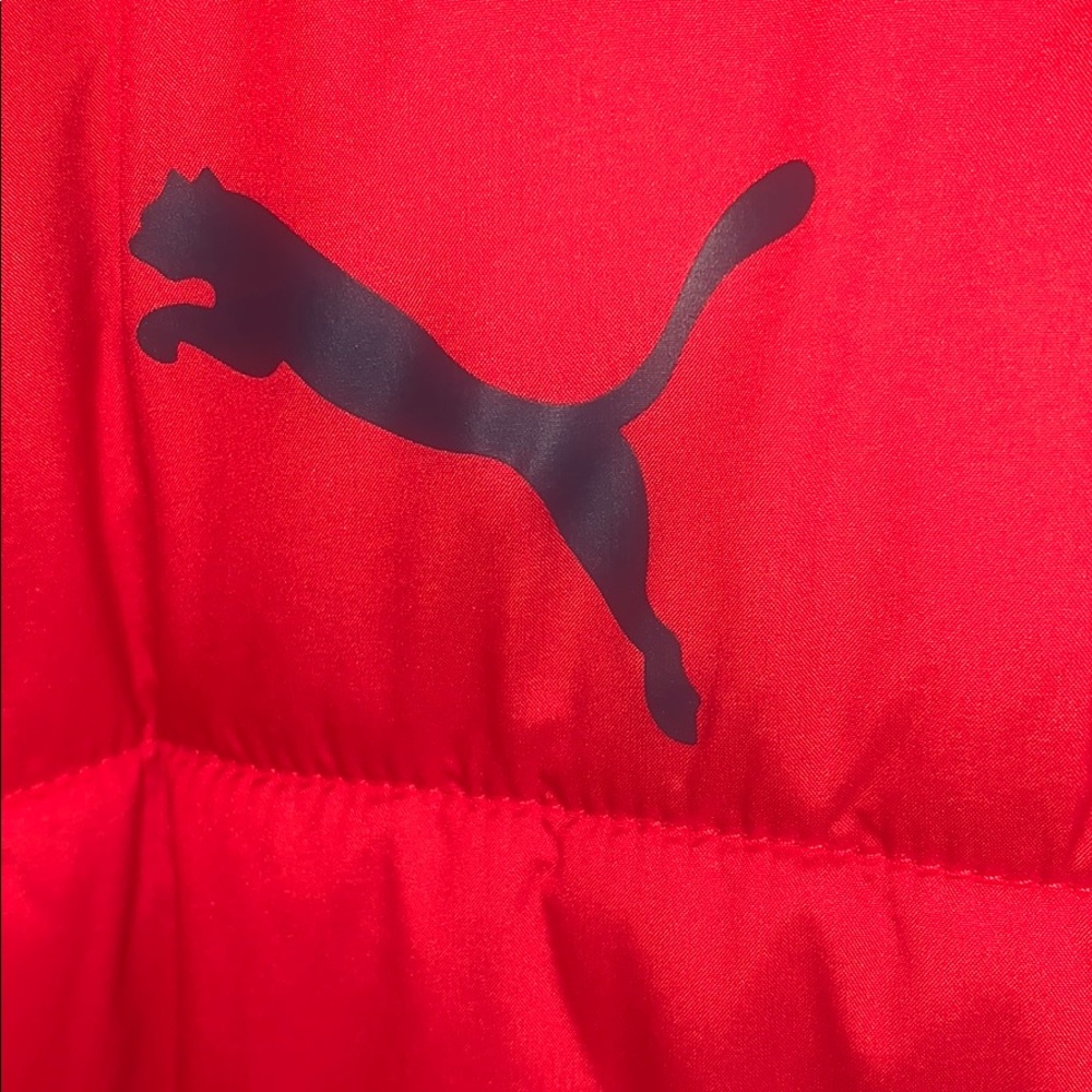 Winter Bubble Puma Jacket - Picture 5 of 6